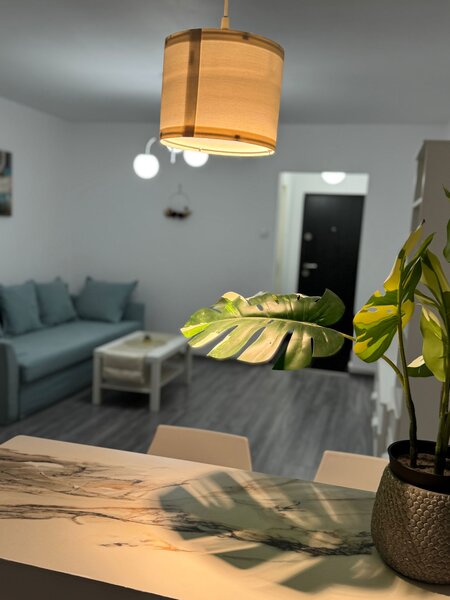 Drumul Taberei, Moghioros,